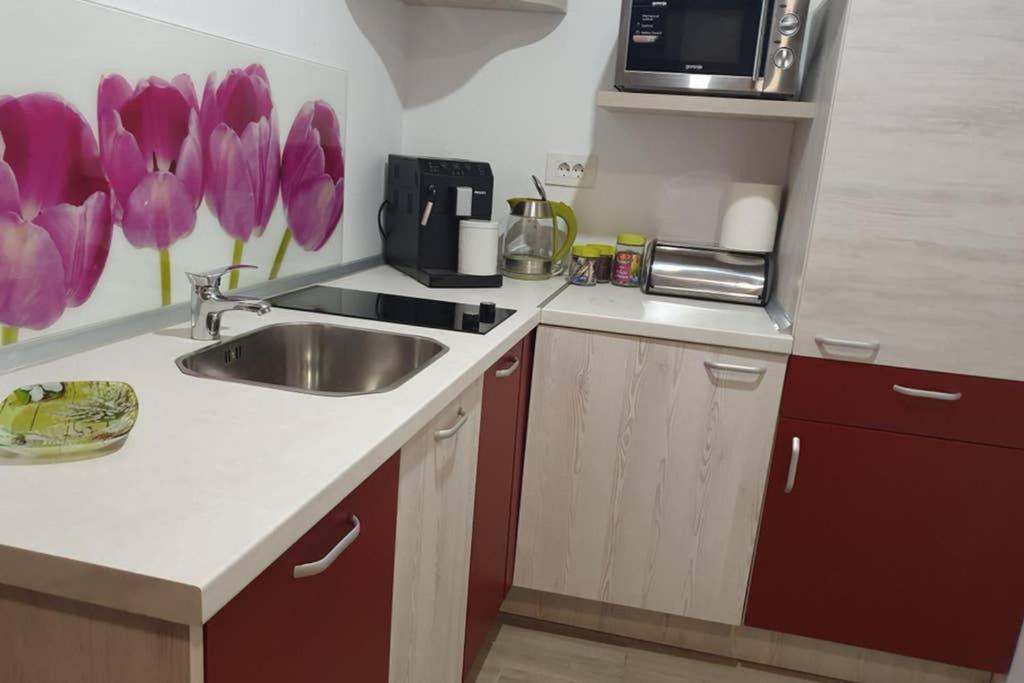 Zsizelle Rezidence Braşov Exterior foto