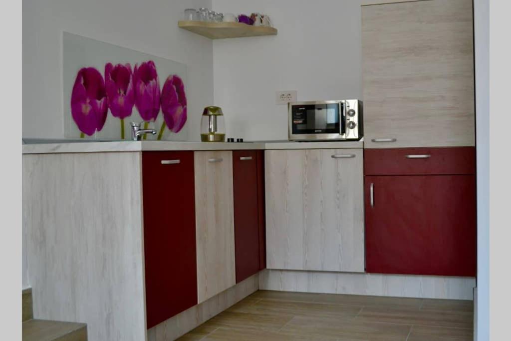 Zsizelle Rezidence Braşov Exterior foto