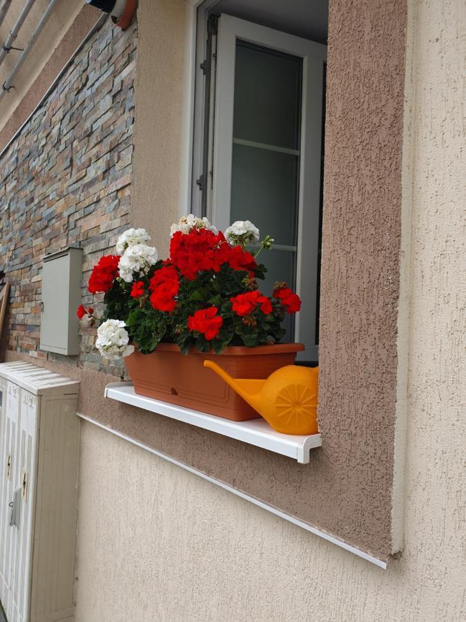 Zsizelle Rezidence Braşov Exterior foto